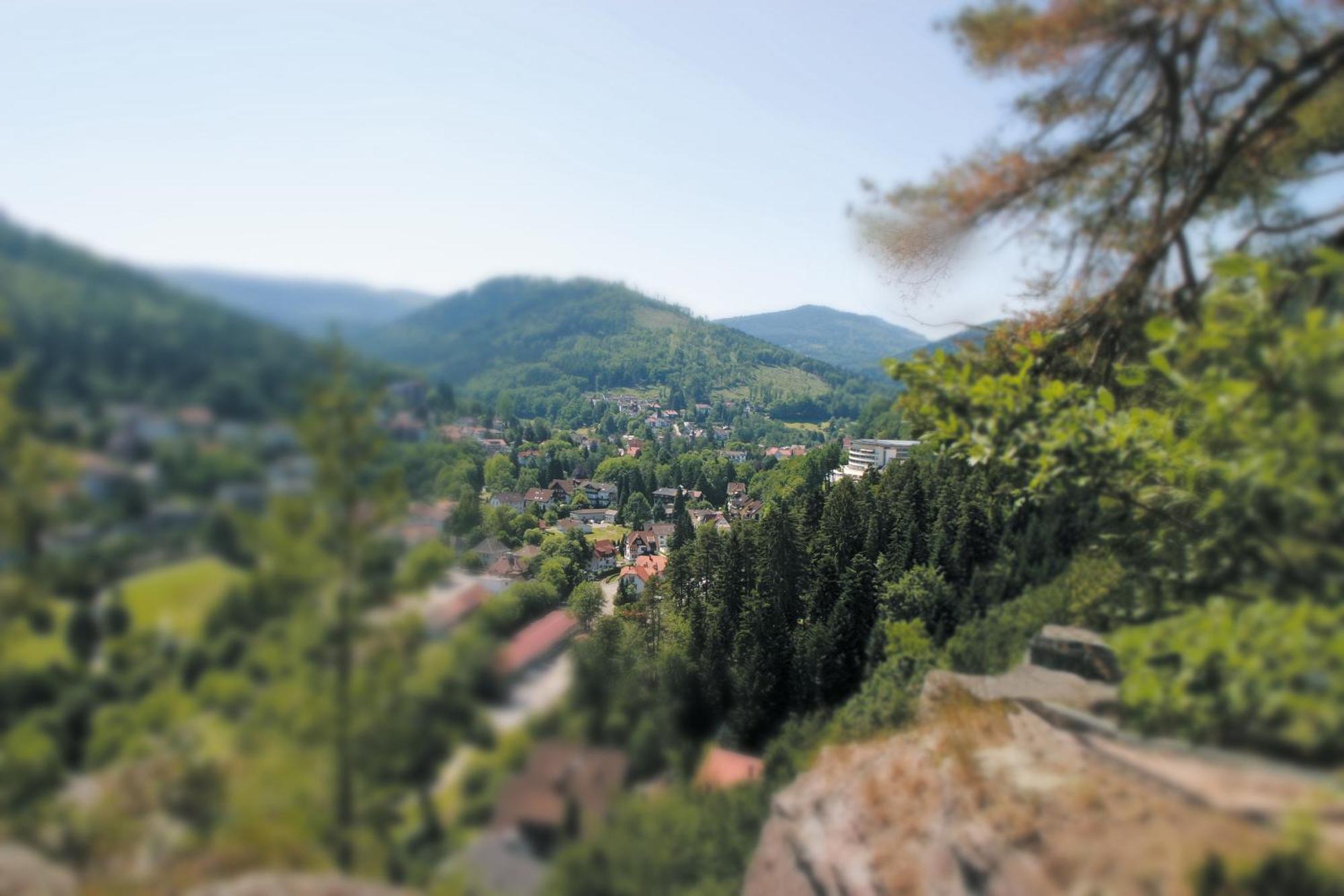 Schwarzwald Panorama Ξενοδοχείο Bad Herrenalb Εξωτερικό φωτογραφία